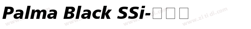 Palma Black SSi字体转换